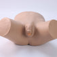 Male Catheterization Model