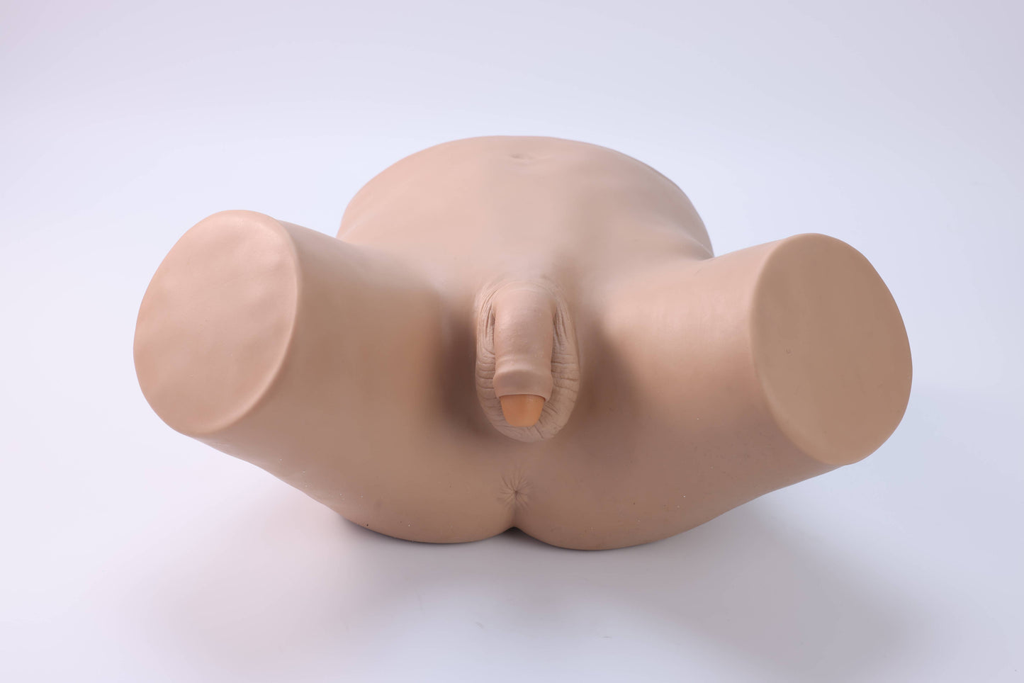 Male Catheterization Model