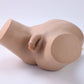 Male Catheterization Model