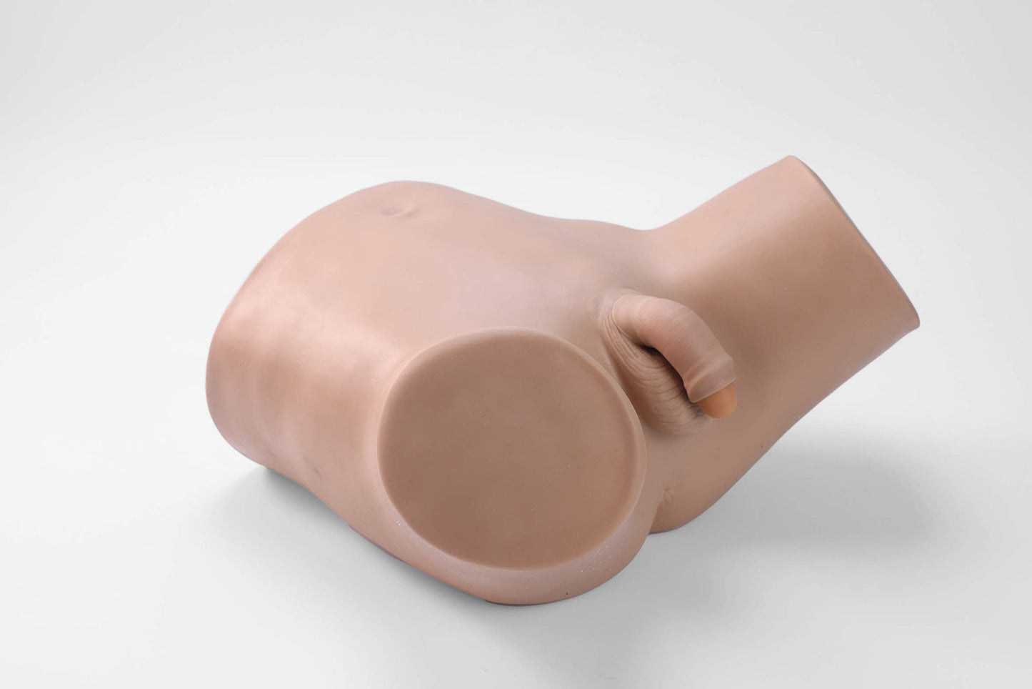 Male Catheterization Model