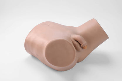 Male Catheterization Model