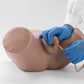 Male Catheterization Model