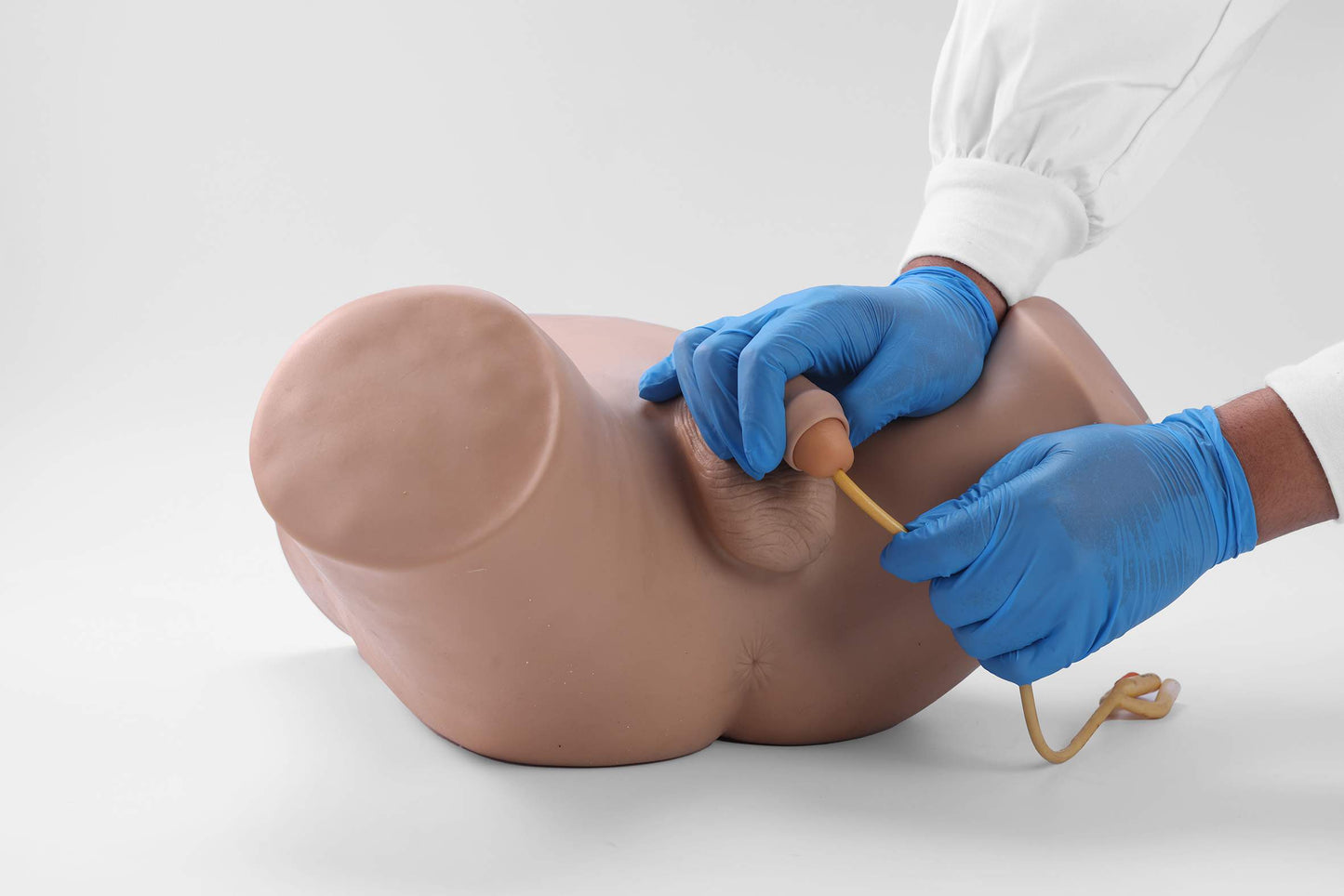 Male Catheterization Model