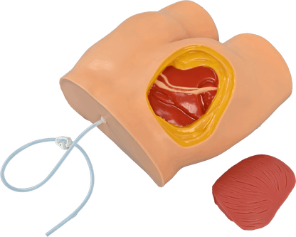 Buttock Injection Model