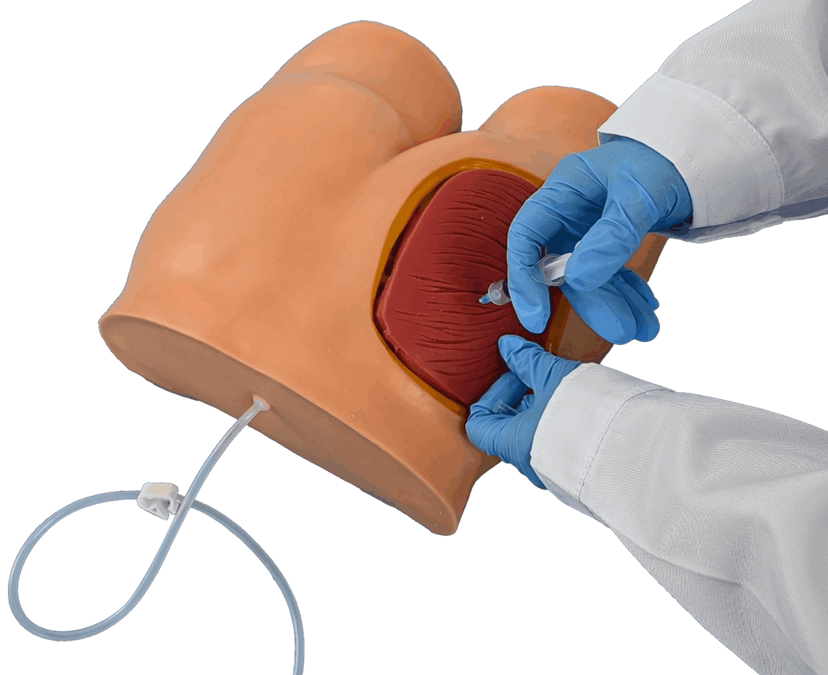 Buttock Injection Reation Buttock Injection Model โ PANCKOO