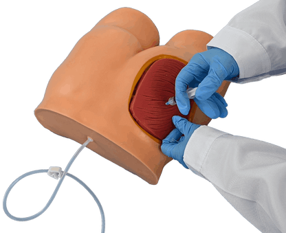Buttock Injection Model