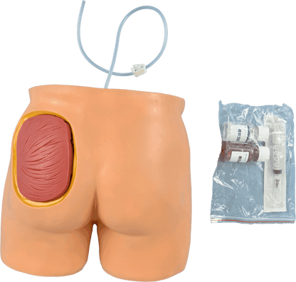 Buttock Injection Model