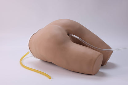 Enema Training Model