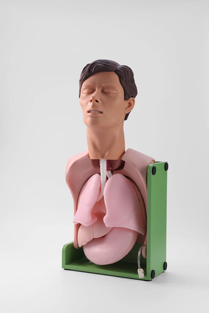 Gastric Lavage and Gastrointestinal Decompression Simulator
