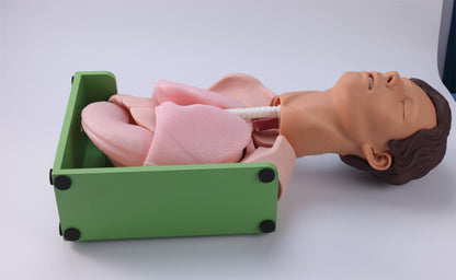 Gastric Lavage and Gastrointestinal Decompression Simulator