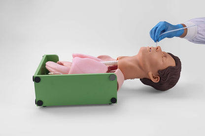 Gastric Lavage and Gastrointestinal Decompression Simulator