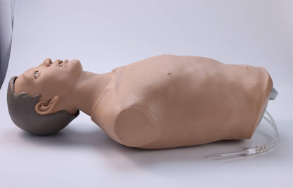 Gastric Lavage Training Model