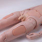 Detachable Nursing Manikin(Male/Female)