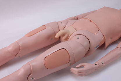 Detachable Nursing Manikin(Male/Female)