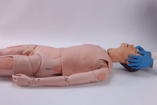 Detachable Nursing Manikin(Male/Female)
