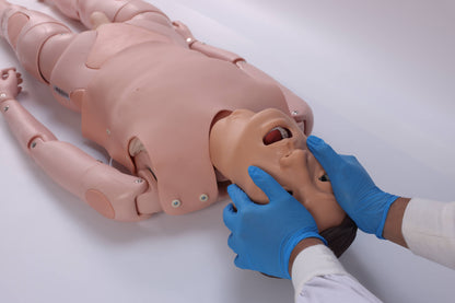 Detachable Nursing Manikin(Male/Female)