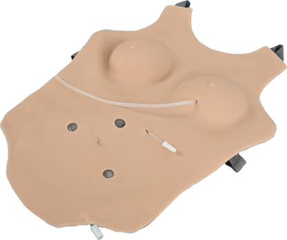 Wearable Female Catheter Drainage and Stoma Care Model