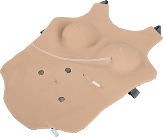 Wearable Female Catheter Drainage and Stoma Care Model
