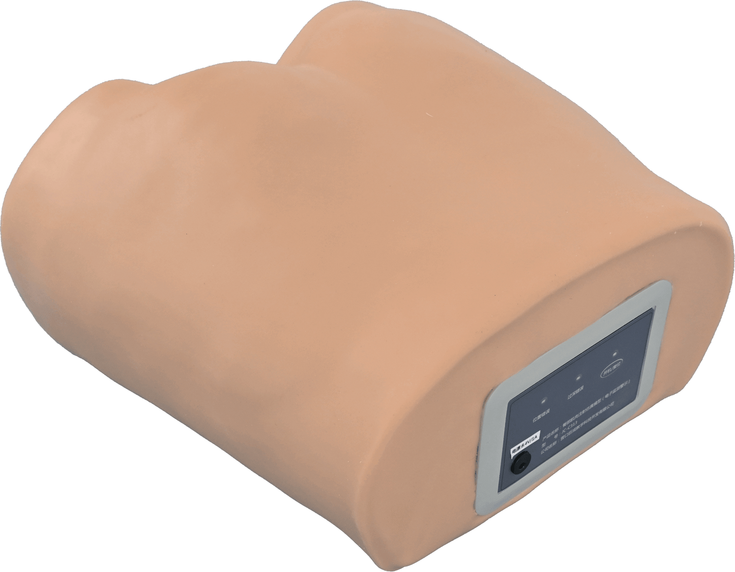 Buttock Injection Model(with electric monitoring)