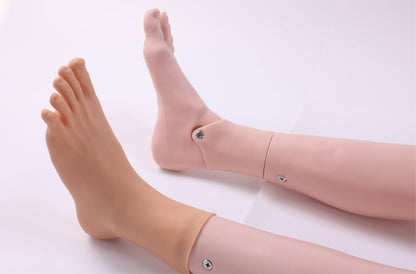 Advanced Adult Nursing Manikin (Male/Female)