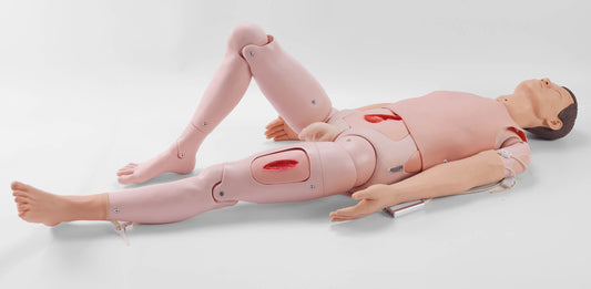 Advanced Adult Nursing Manikin (Male/Female)