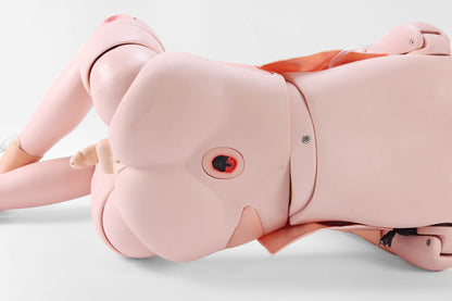 Advanced Adult Nursing Manikin (Male/Female)