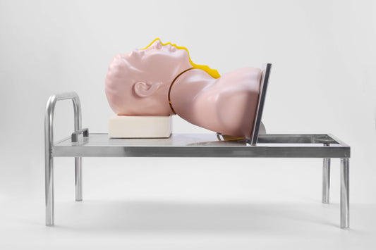Swallowing and Breathing Mechanism Demonstration Model