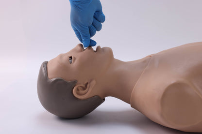 Dual Balloon Hemostasis and Duodenal Drainage Training Simulator