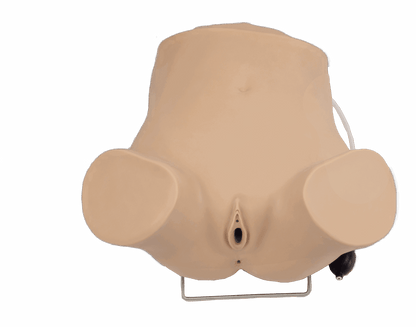 Advanced Gynecologic Skills Simulator