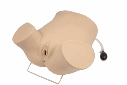 Advanced Gynecologic Skills Simulator