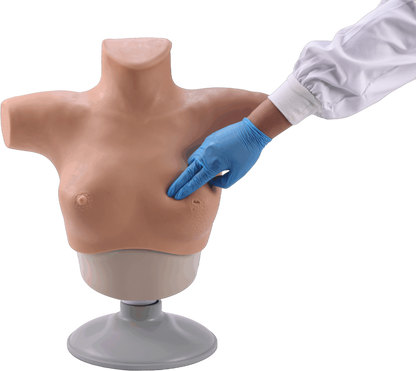 Breast Cancer Palpation and Visual Diagnosis Training Model