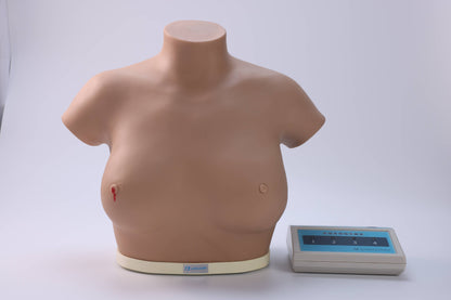 Breast Cancer Inspection and Palpation Model