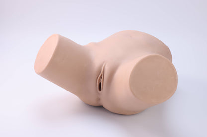 Female Catheterization Trainer