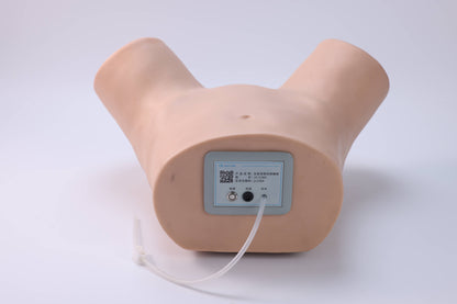 Female Catheterization Trainer