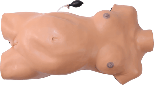 Obstetric  Examination  Manikin