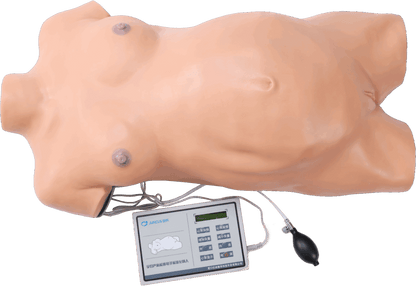 Obstetric  Examination  Manikin