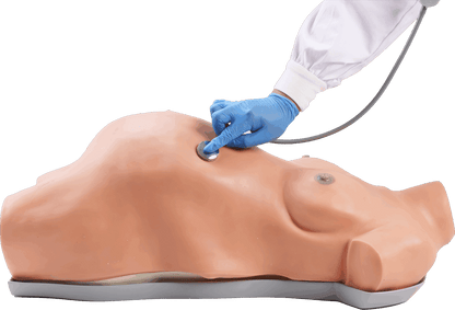 Obstetric  Examination  Manikin