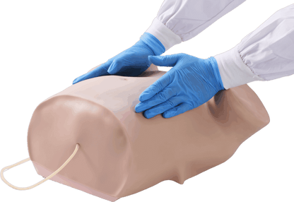 Four-step Palpation Training Model