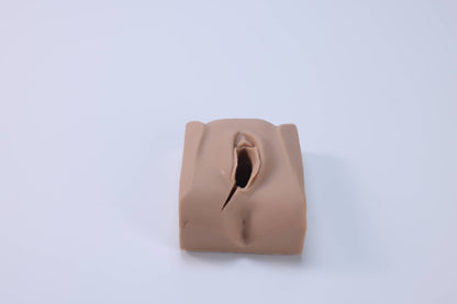 Episiotomy and Suturing Trainer