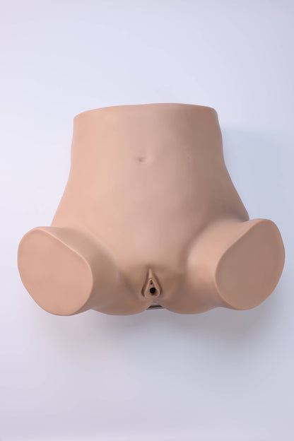 Diagnostic Curettage Training Model