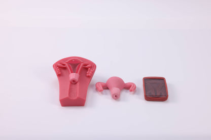 IUD Insertion and Removal Training Kit