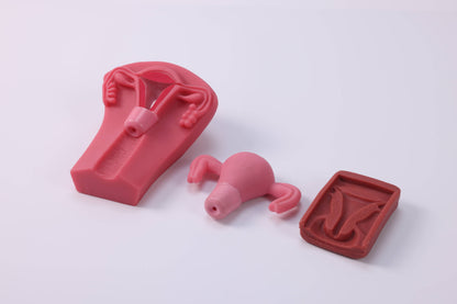IUD Insertion and Removal Training Kit