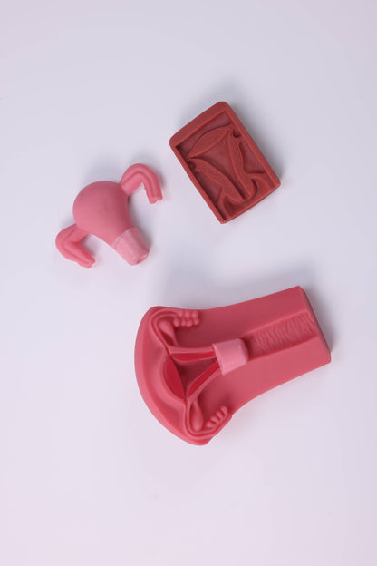 IUD Insertion and Removal Training Kit