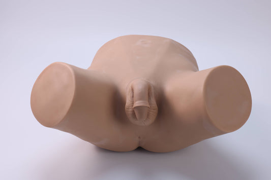 Vasectomy Training Model