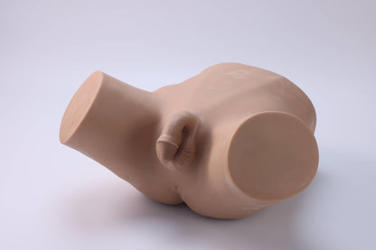 Vasectomy Training Model