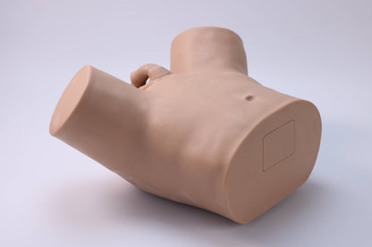 Vasectomy Training Model