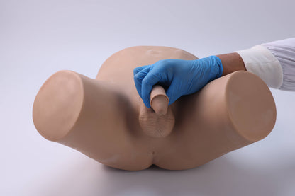 Vasectomy Training Model