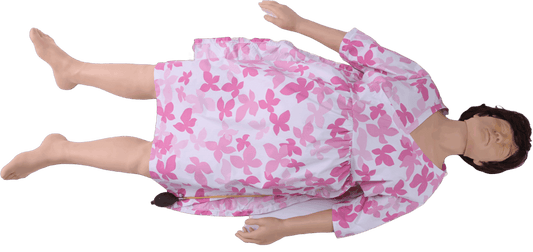 Prenatal Examination  Simulator (twins)