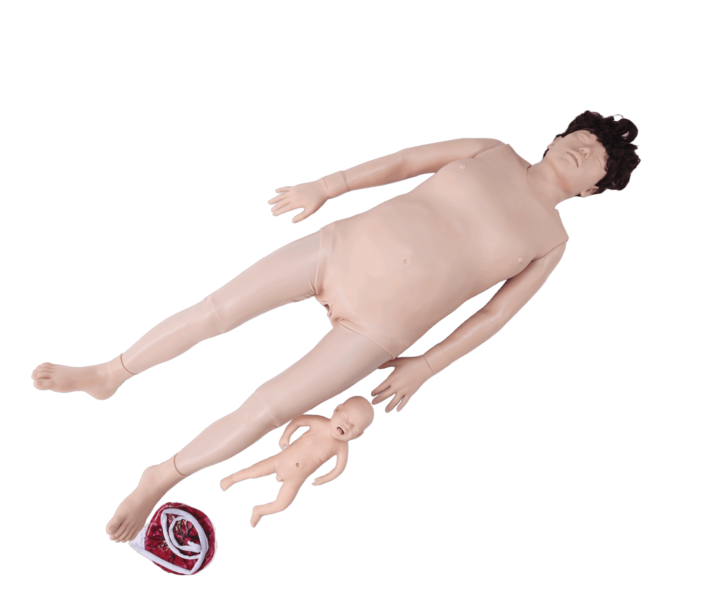 Midwifery Training Simulator(with remote control)