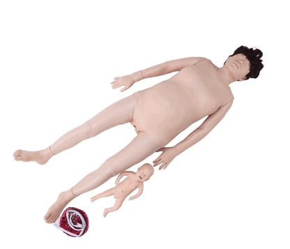 Midwifery Training Simulator